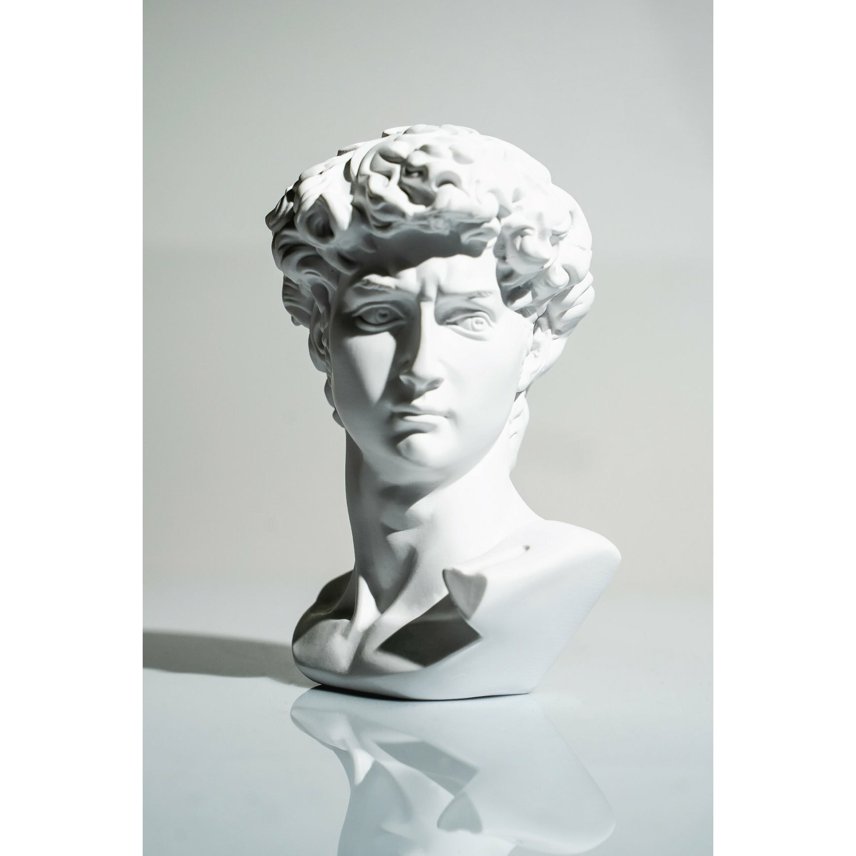 David Bust Sculpture - White (50% OFF) – RoseGold & Black Pty Ltd