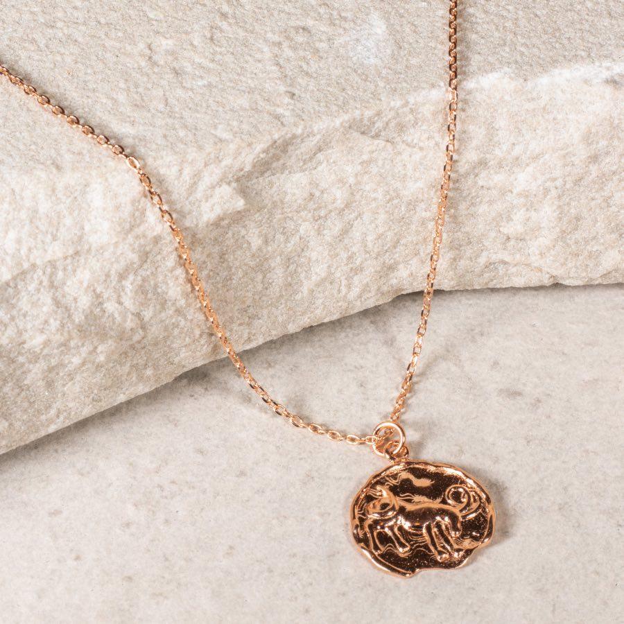 Capricorn Star Sign Necklace - Fine chain necklace featuring a delicate star sign pendant. Birth date December 22 - January 19 is for Capricorn. Available in Silver, Gold, and Rose Gold.